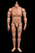 1/6 Scale muscular Real Type 6.0 Action Body Type-C (akčné telo typ: C)